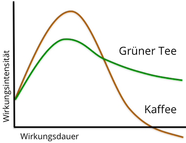 Verträglichkeit von Grüner Tee