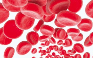 Blut Hämoglobine