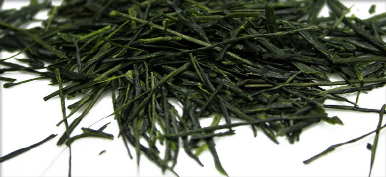 Sencha kaufen