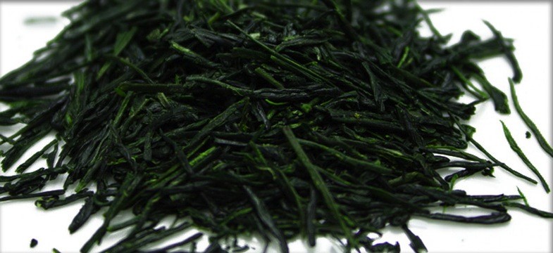 Gyokuro kaufen