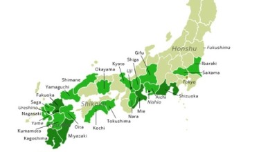 Gruener-Tee-Anbaugebiete-Japan