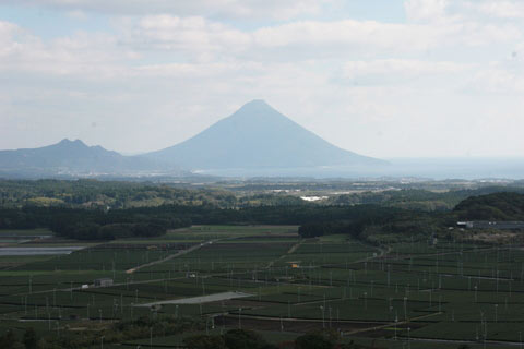 Kagoshima Teefeld mit Berg