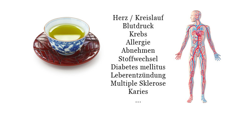 Grüner Tee Wirkung | Dr. Schweikart Verlag
