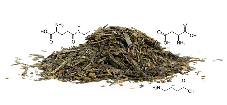 Aminosäuren und L-Theanin im grünen und weißen Tee