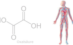 oxalsaeure-gesundheit