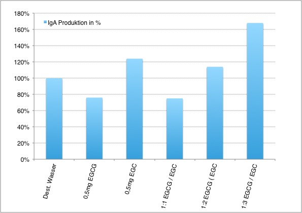 IgA-Produktion in % je nach Gabe von EGC und EGCG