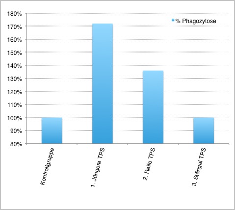 Phagozytische Aktivität je nach Gabe von Grüntee aus jungen oder reiferen Blättern oder aus Stängel