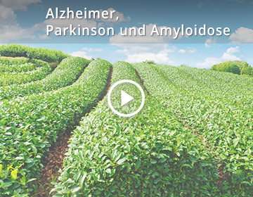 Alzheimer, Parkinson und Amyloidose